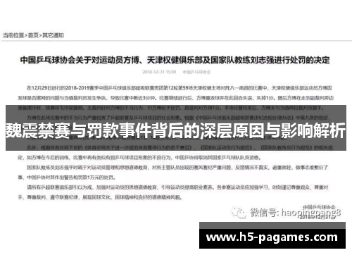 魏震禁赛与罚款事件背后的深层原因与影响解析